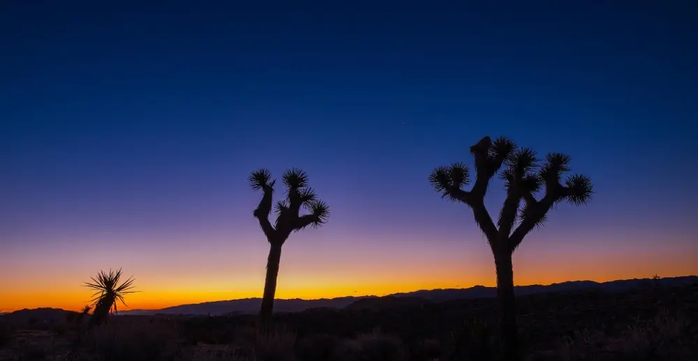 Joshua Tree National Park (USA – California)