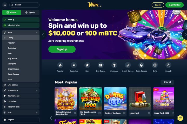 Winz casino screenshot 3